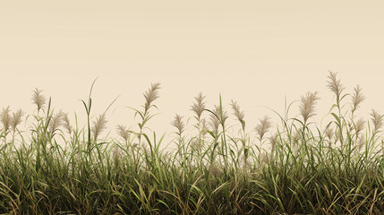 A dense patch of wild grass with varying heights, isolated on a light brown background.