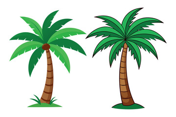 Obraz premium palm tree vector illustration 