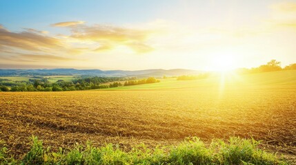 Obraz premium solid ground surface depth Concept. Golden sunrise over a tranquil field, illuminating the landscape with warm light.