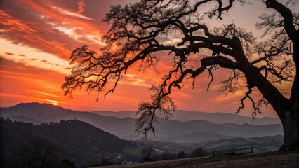 A solitary tree stands tall against a vibrant sunset, its branches reaching towards the sky, creating a dramatic silhouette against the colorful clouds.