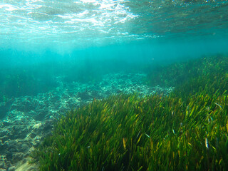 Dark blue ocean surface seen from underwater. Abstract waves underwater and rays of sunlight...