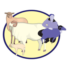 Male farmer grazing sheep on farm flat vector illustration