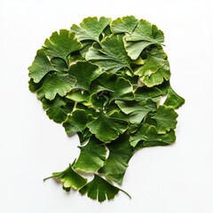 Fototapeta premium Ginkgo biloba plant leaf closeup view.
