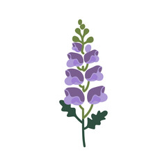 Naklejka premium Purple Lupine Flower Vector Art Botanical Illustration for Nature Design Projects