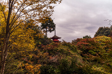 The Koyasu pagoda of the Kiyomizu-dera temple complex emerging from the forest full of colours in Autumn