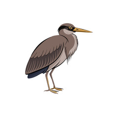 Fototapeta premium Elegant Heron Bird Vector Illustration for Nature and Wildlife Design
