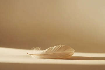 single feather resting on smooth sand illuminated by soft evening light
