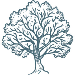 Fototapeta premium Hand Drawn Vector Tree with Detailed Branches and Leaves Illustration