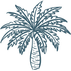  Tropical Palm Tree Illustration for Summer and Beach Themed Designs