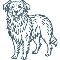 Obraz premium Vector Illustration of Happy Fluffy Dog with Long Fur and Friendly Expression