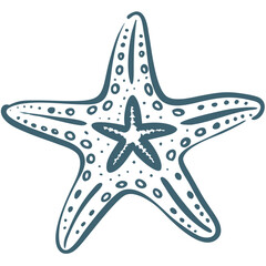  Nautical Marine Starfish Illustration Vector with Intricate Design Elements
