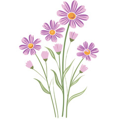  Vibrant Pink and Purple Daisies Vector Art for Botanical Design Use