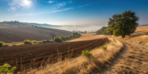 Fototapeta premium A sun-drenched path meanders through a vast, rolling landscape, leading the eye towards a horizon cloaked in a veil of mist.