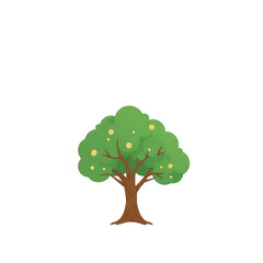 green tree isolated on white background