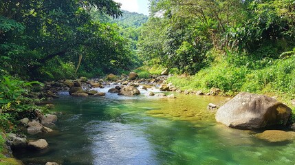 Serene Forest Stream in Lush Green Landscape with Clear Water Flowing Over Smooth Stones and Surrounded by Tropical Vegetation and Sunlit Canopy