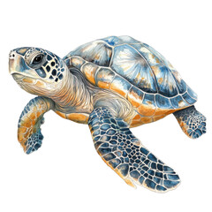 Fototapeta premium Detailed Illustration of a Hawksbill Turtle Swimming Gracefully in Clear Ocean Waters
