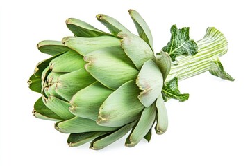 Obraz premium A large green artichoke with tightly packed leaves, isolated on a white background