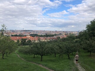 Prague Meadow