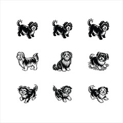 Havanese dog black silhouette logo  Havanese Vector illustration in black and white