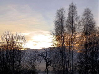 Bare trees against the background of the morning sun on a winter morning