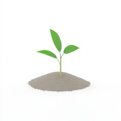 Young Green Plant Growing on Sandy Soil Against White Background, isolated