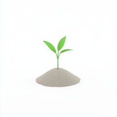 Young Green Plant Growing on Sandy Soil Against White Background, isolated