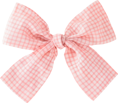 Pink checkered ribbon is tied in a bow
