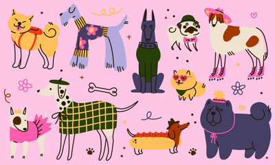 Dog cute. Pet animal funny in clothes. Icon character, happy day doodle cartoon pets about love. Little puppy sketch. Drawn Labrador and poodle. Vector cartoon flat isolated childish illustration