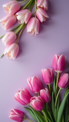Obraz premium This stunning image features vibrant pink tulips gracefully arranged against a soothing lavender backdrop. The flowers, with their lush petals and fresh green stems, evoke feelings of springtime joy