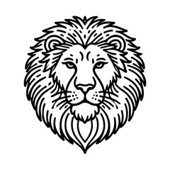 Fototapeta premium A simple illustration of Lion face , a lion face drawing , face of a lion drawing , lion illustration simple