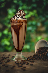 Chocolate Chip Frappuccino (Cold coffee)