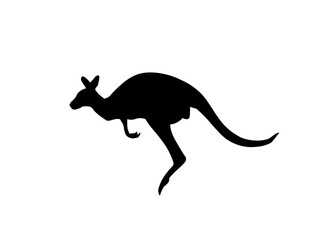 kangaroo silhouette