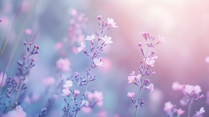 Delicate Blossoms Bathed in Soft Pastel Light in Serene Garden Scene
