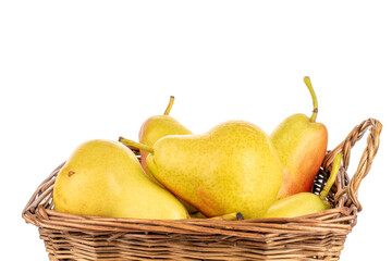 Several yellow ripe pears with a basket, close-up, isolated on a white background.
