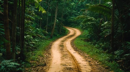 Obraz premium Serene Curved Dirt Path Through Lush Green Jungle Surrounded by Vibrant Flora in a Peaceful Rainforest Environment