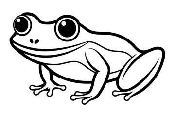 frog on white background