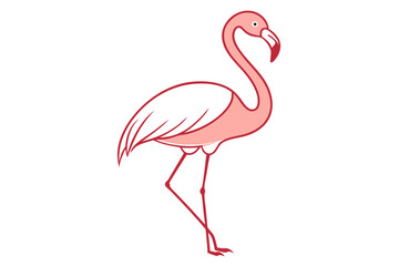 pink flamingo isolated on white