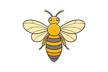 bee and flower