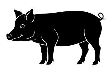 pig
