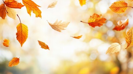 Autumnal Leaves Dance in the Gentle Breeze