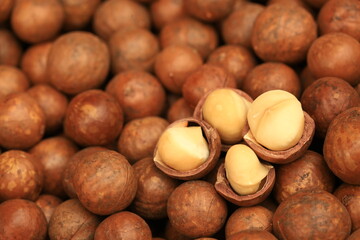 Macadamia nuts texture Background with dried. Fresh macadamia nut shelled from natural high protein for to drying 