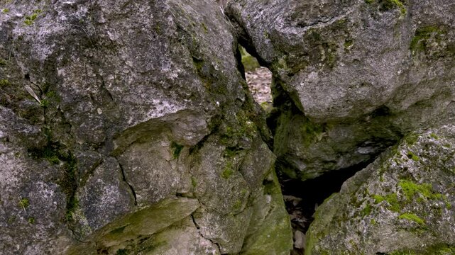 Granite stones covered with green moss. Close up of green moss grown on stone. High quality 4k footage 