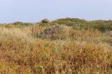 The Mediterranean coast in northern Israel