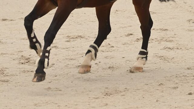 Horse and jockey showcase incredible jumping skills in equestrian competition