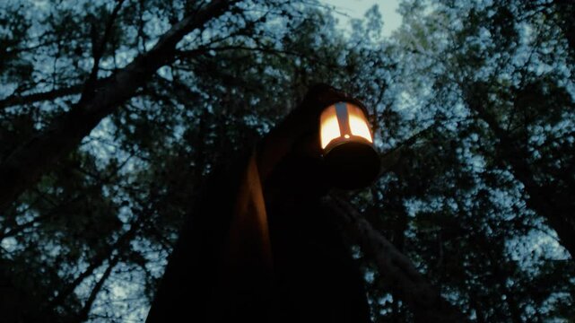 Man With Tabarro Searching With The Lantern 