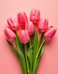 Fototapeta premium Mother's Day, Valentine's Day, Easter, Birthday, Happy Women's Day, Beautiful composition spring flowers. pink tulips flowers on pastel pink background, blossoms, flora, 
