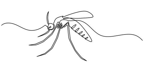 Dengue mosquito continuous one line drawing, continuous line mosquito. mosquito drawn in one line. single line vector illustration, outline pro vector illustraion.