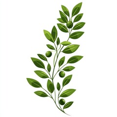 Fototapeta premium Lush green sprig with berries.