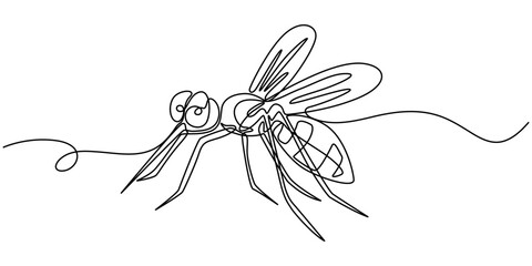 Dengue mosquito continuous one line drawing, continuous line mosquito. mosquito drawn in one line. single line vector illustration, outline pro vector illustraion.