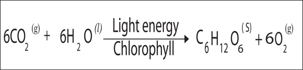 Formula of glucose formation (molecular formula of glucose )